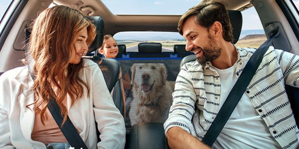 JOYTUTUS pet accessories for cars
